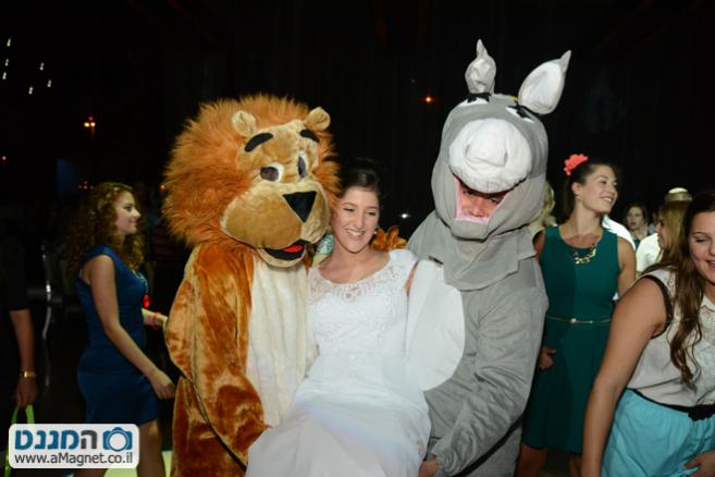 תמונה גדולה